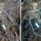 U.S. strikes set Iran nuclear program back months, assessment finds, refuting President Trump