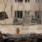 Reaction in Middle East to Israel-Iran ceasefire