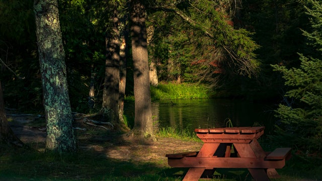 Picnic by the Water,Empty bench in park,Michigan,United States,USA 