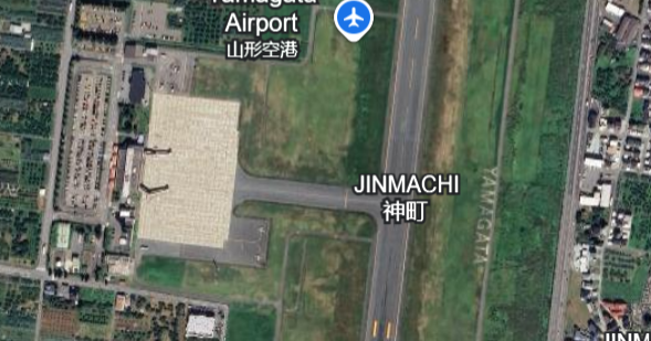 Bear on runway halts flights at airport: "We're in a stalemate"