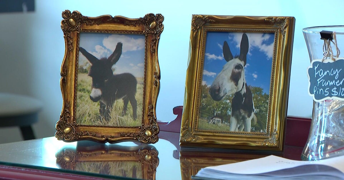 At this small town Minnesota cafe, donkeys are the main attraction