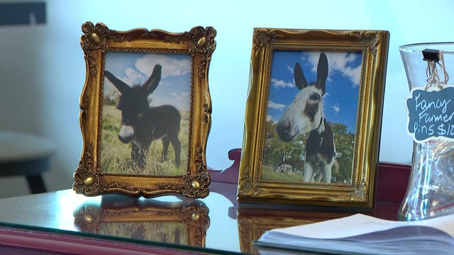 10p-pkg-fmn-donkey-cafe-wcco8436.jpg 