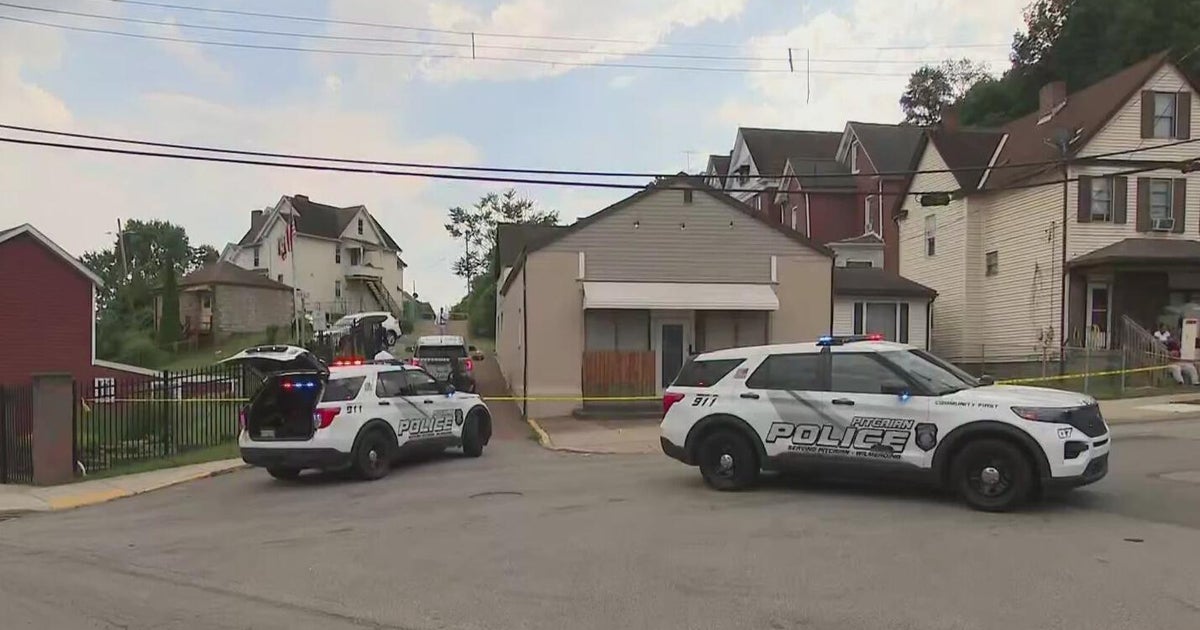 2 juveniles shot, killed in Pitcairn 