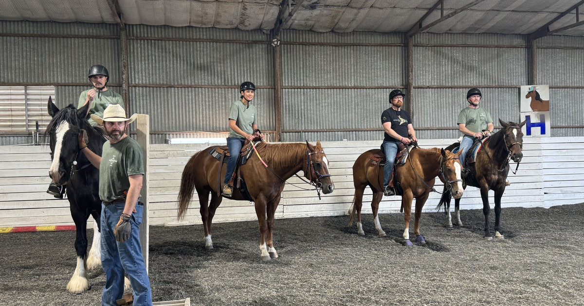 North Texas veterans find healing through horse therapy 