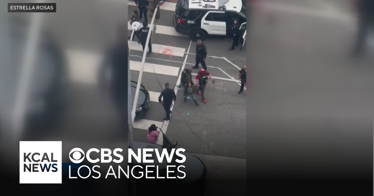 L.A. woman charged with assaulting a federal agent during immigration ...