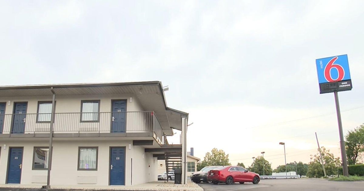Woman found with 53 cats in Farmington Hills motel room, officials say 