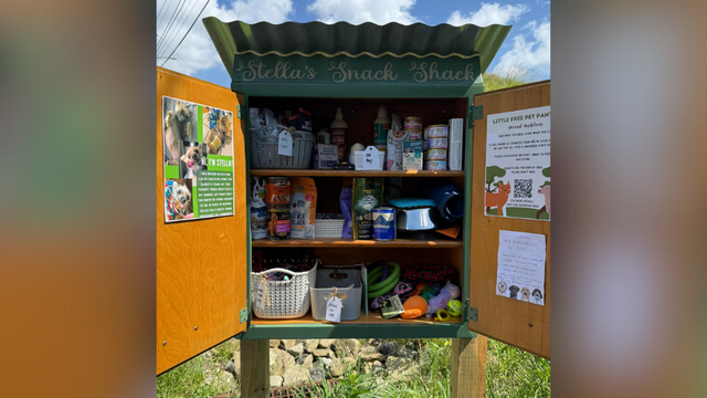 kdka-stella-snack-shack.png 