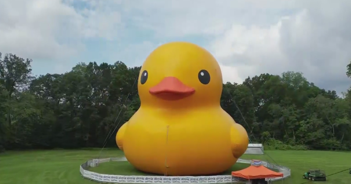 Mama Duck, duckling Timmy on display at Idlewild and SoakZone 