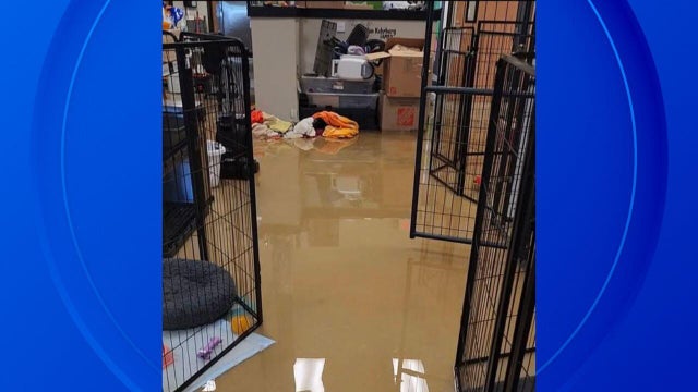 animal-shelter-flood-slider.jpg 