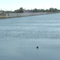 Study: Some parts of New Orleans' flood walls sinking nearly 2 inches per year
