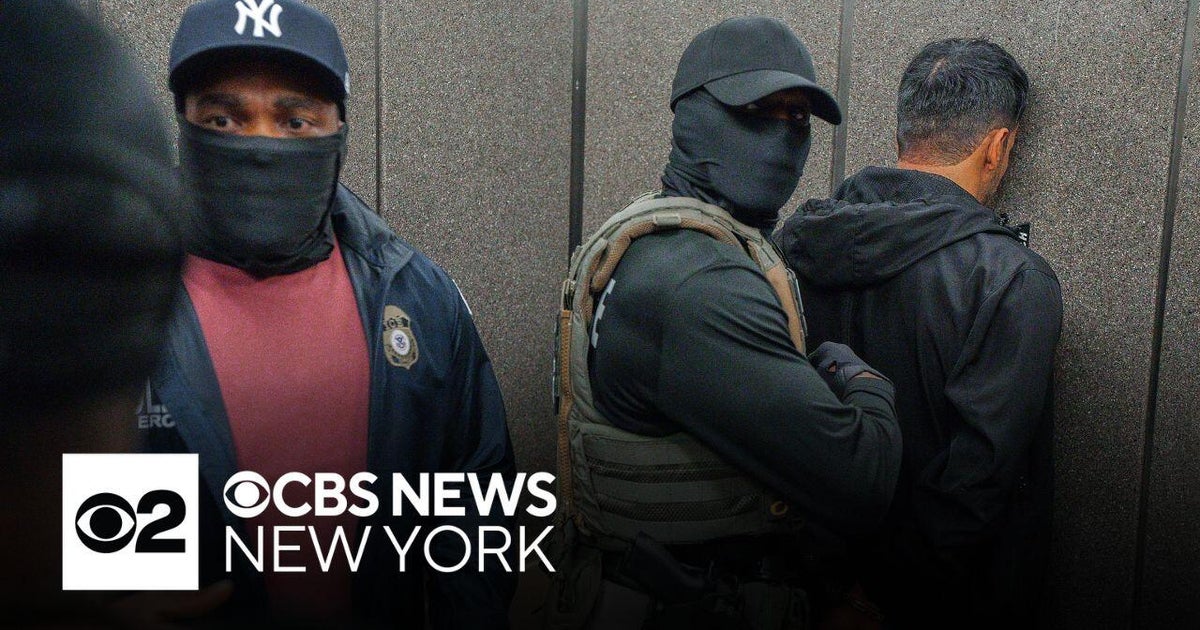 Masked U.S. Agents Intensify Immigrant Detentions Amid Legal Pushback