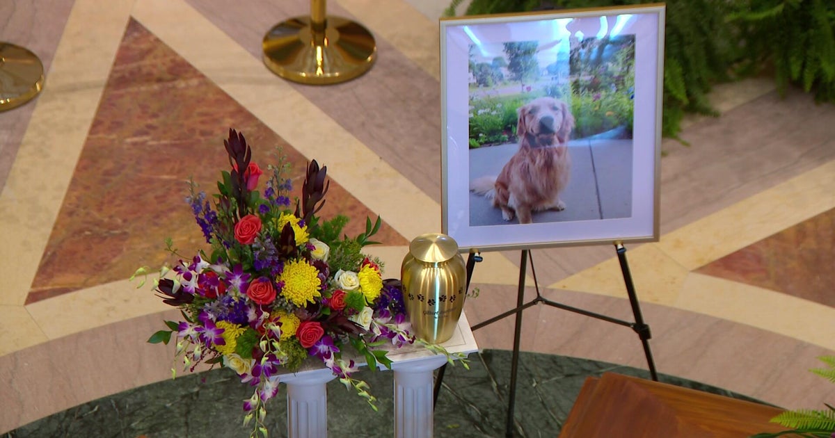 Gilbert Hortman, Melissa and Marks beloved dog, remembered 