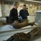 Search ongoing for extinct Tasmanian tiger amid efforts to revive species | 60 Minutes