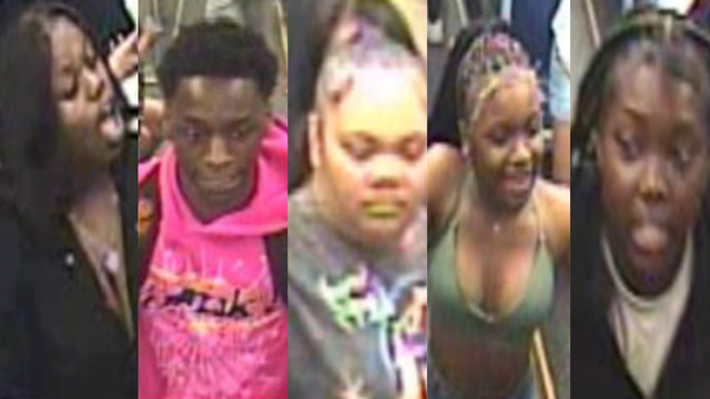 CTA Red Line armed robbery suspects 
