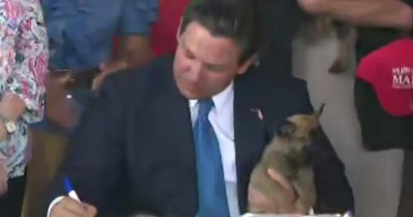 Nearly 100 Florida laws take effect on July 1 - CBS Miami