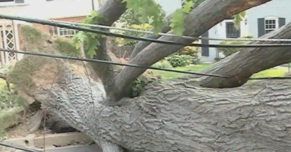 13 years ago, a derecho devasted Maryland and knocked out power for a week 