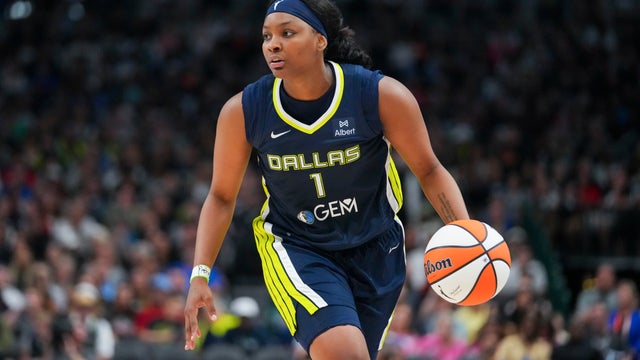 Fever Wings Basketball 