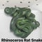 Plane passenger caught with 16 live snakes, including a rhino rat snake