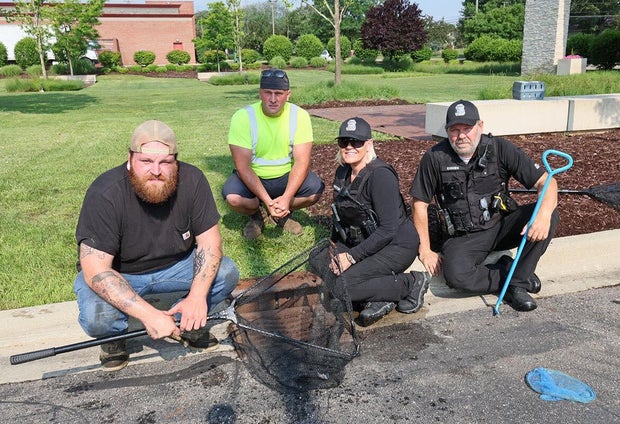 duck-rescue-photo-a.jpg 