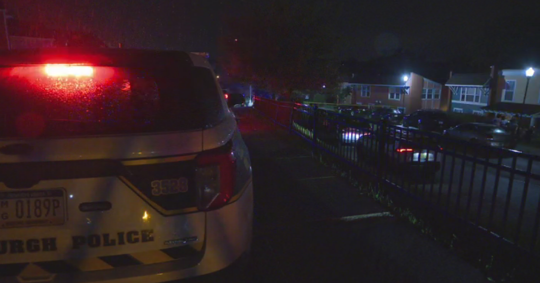 Man stabbed in East Hills by another man trying to stop assault, police say 