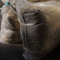 julie-smoke-damage-cci-featured-image.png 