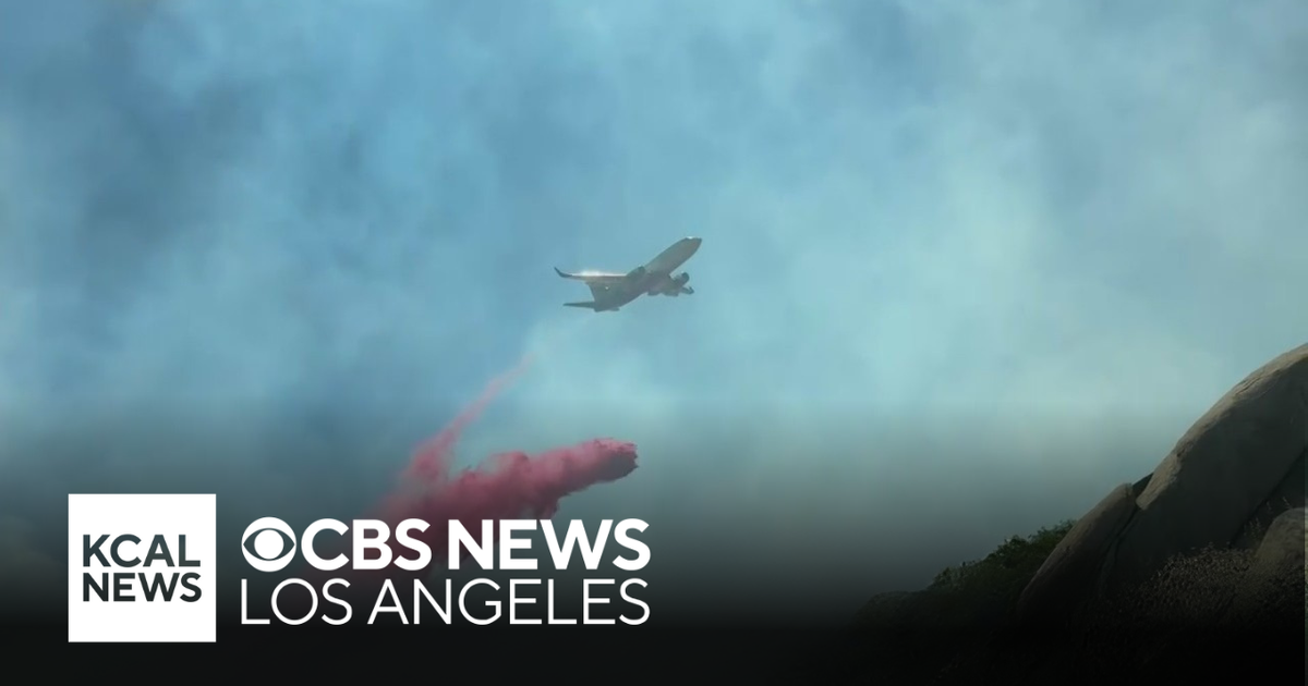 Evacuation orders remain as crews contain Wolf Fire in Riverside County ...