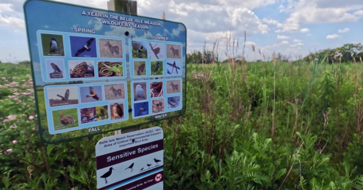 You can see more than 200 species of birds at this spot in Boston 
