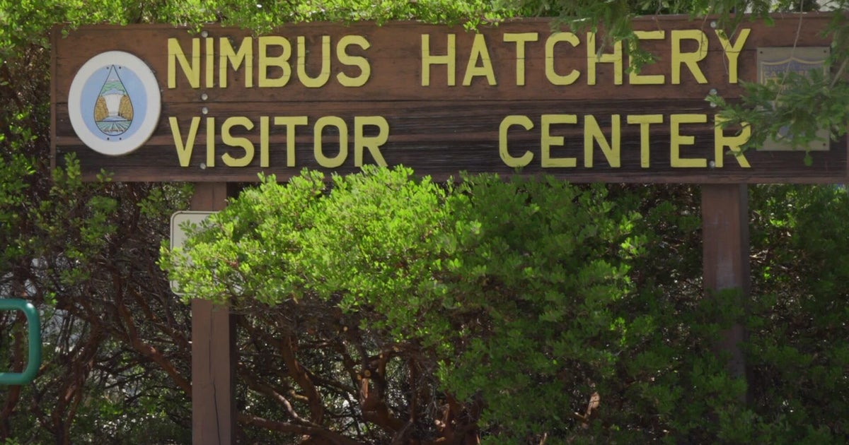 Nimbus Fish Hatcherys visitor center, parking lot to be closed over summer