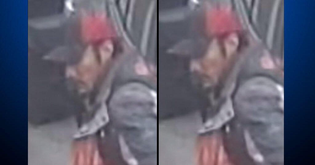 Emeryville police seek suspect in car fires, attempted arson of pizza restaurant 