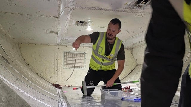Australia Snake on a Plane 