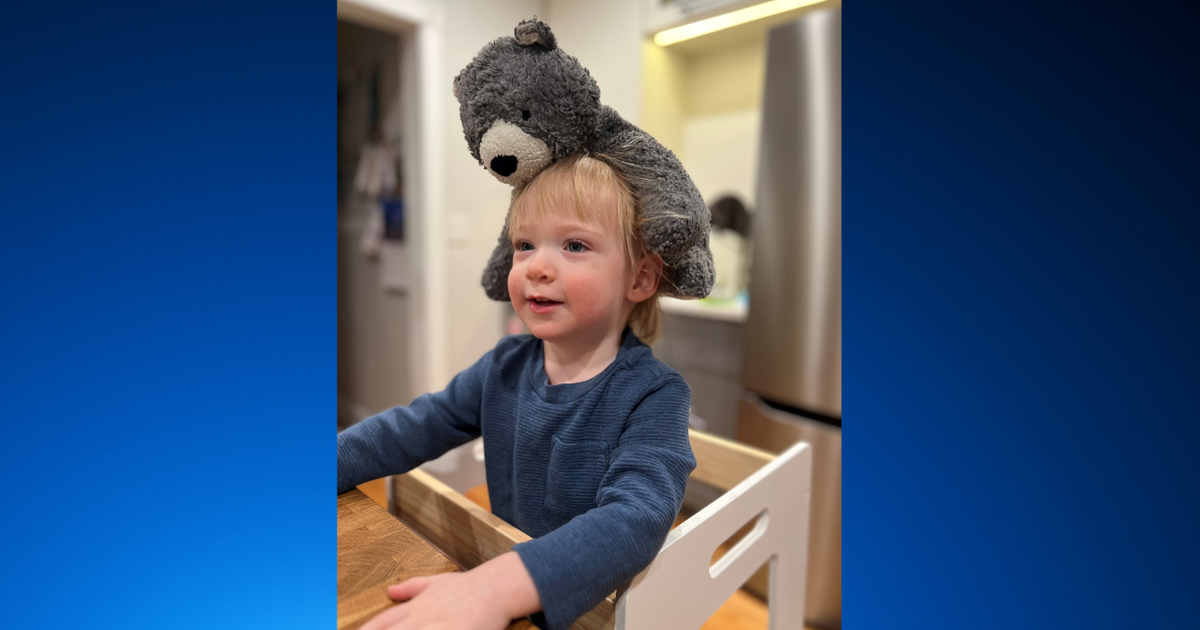 Family asks for help locating 2-year-old's lost stuffed bear, last seen in Long Grove 