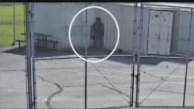 ice-agent-urinating-in-pico-rivera.jpg 