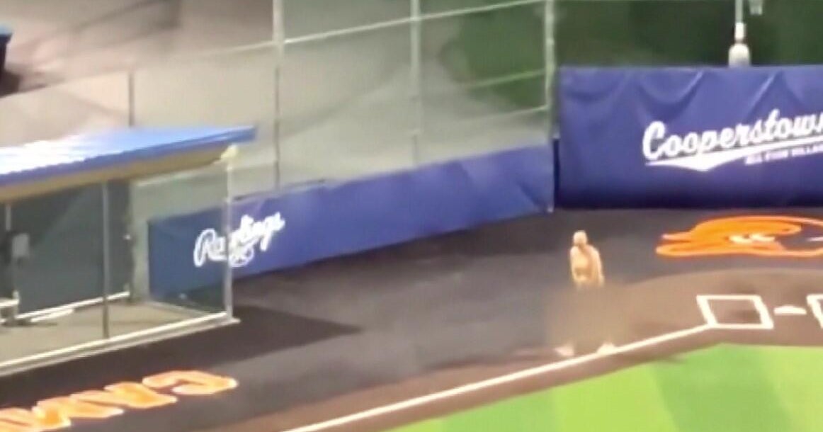 2 Lake Bluff youth baseball coaches fired after apparently streaking in front of kids 