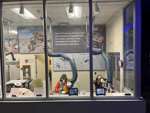 c1-ben-kligman-richard-cline-lynn-sharp-fossillab-by-btk.jpg 