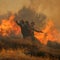 Wildfires prompt evacuations from Greek island Crete