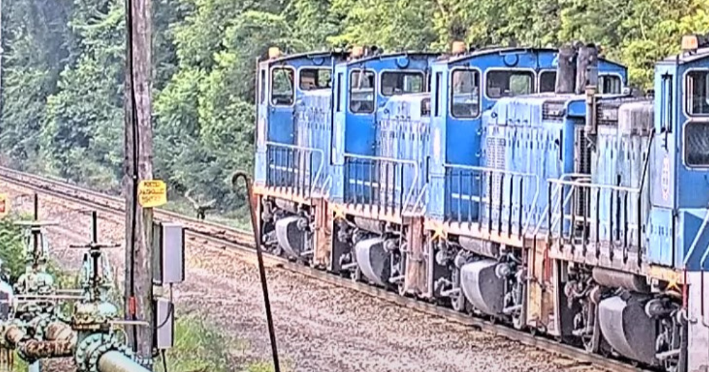 Video shows train conductor shooing U.S. Steel eaglet off tracks 