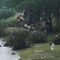 At least 13 fatalities reported in Texas as devastating floods slam Hill country