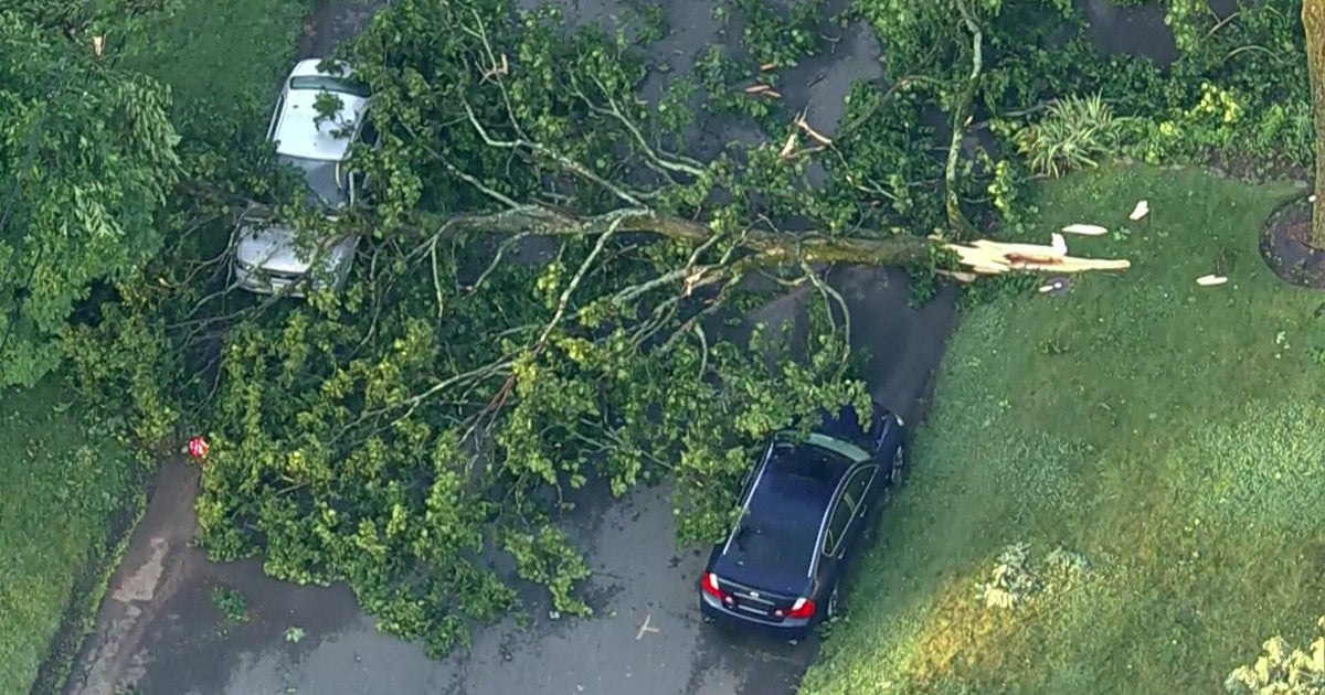 Cleanup continues in Plainfield, N.J. as crews work to restore power 