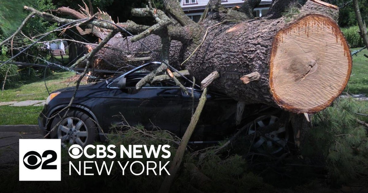 Plainfield, New Jersey, under state of emergency due to severe weather damage