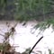 Major flooding in central Texas kills multiple people