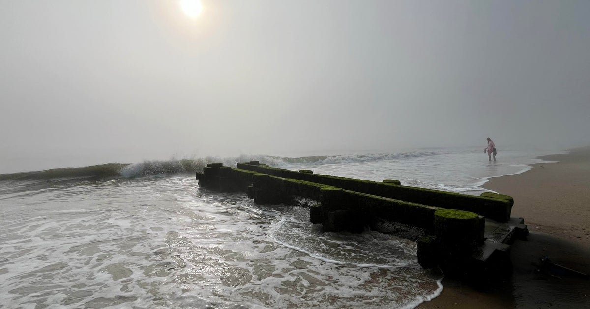 Swimming advisory issued at Rehoboth Beach in Delaware due to high bacteria