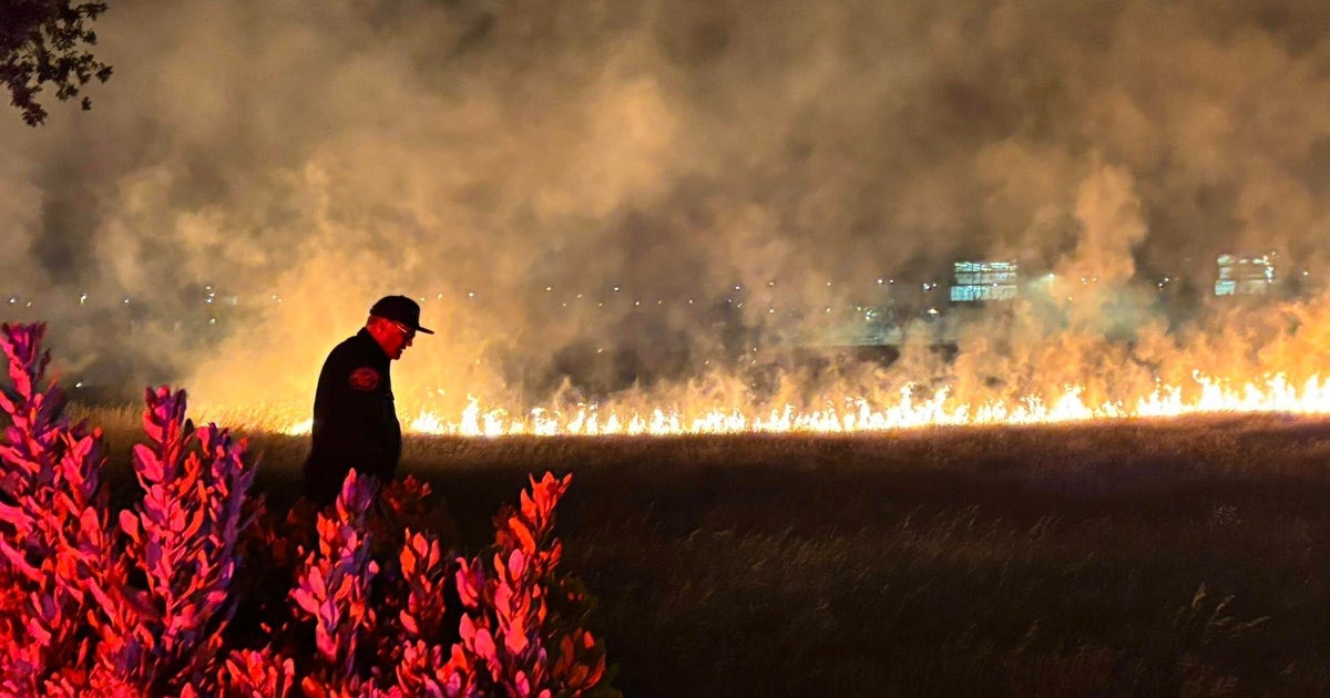 Vegetation fire near Roseville high school burns 10 acres 
