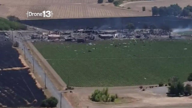 dmc-esparto-explosion-latest-5p-pkg.jpg 