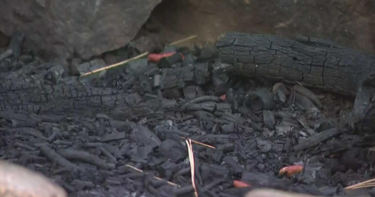 Michigan DNR issues warning about fires and dry conditions over holiday weekend 