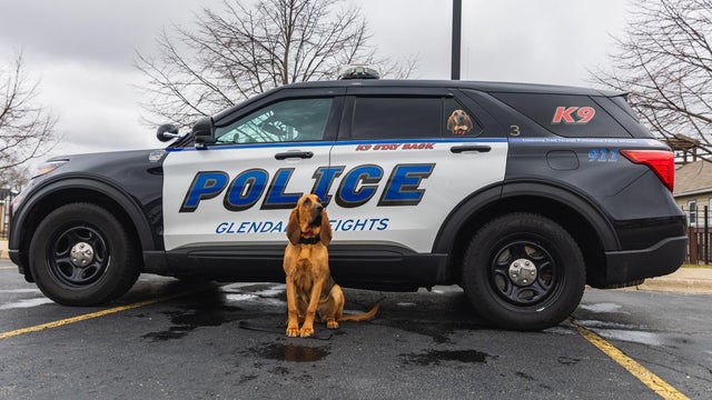 glendale-heights-body-armor-for-k9s.jpg 
