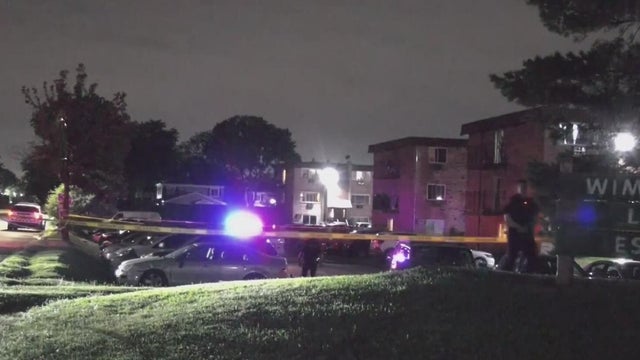 Prospect Heights shooting 