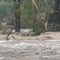 Texas floods expose gaps in emergency warning system