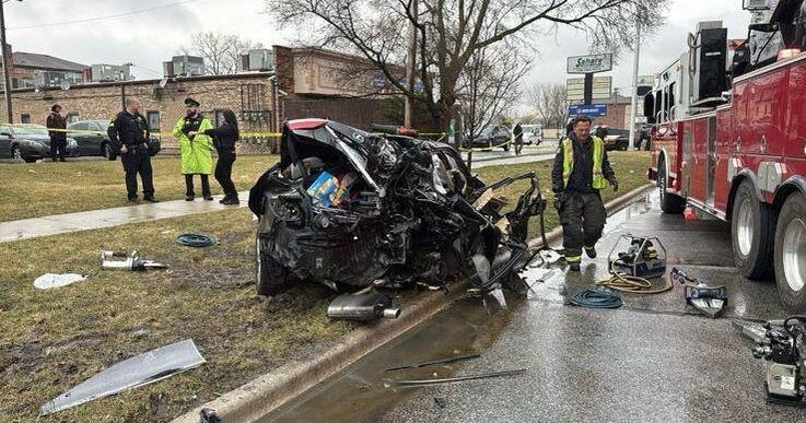 Woman sues Bedford Park after man steals squad car and USPS truck, causes crash 