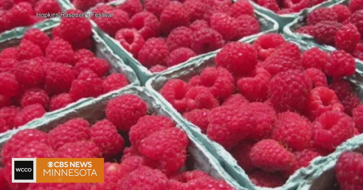Which berry reigns supreme? Or are they all just kind of 