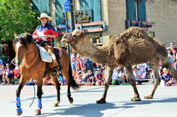 4th-of-july-2014-010.jpg 